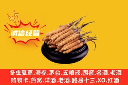 韶关回收冬虫夏草